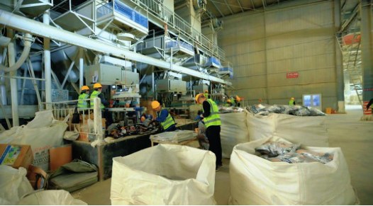 Real cat litter production line